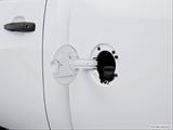  Gas cap open photo
